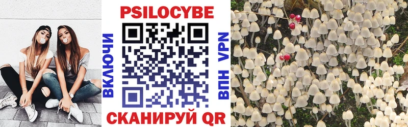 Купить где  Северо-Курильск  Галлюциногенные грибы Magic Shrooms 